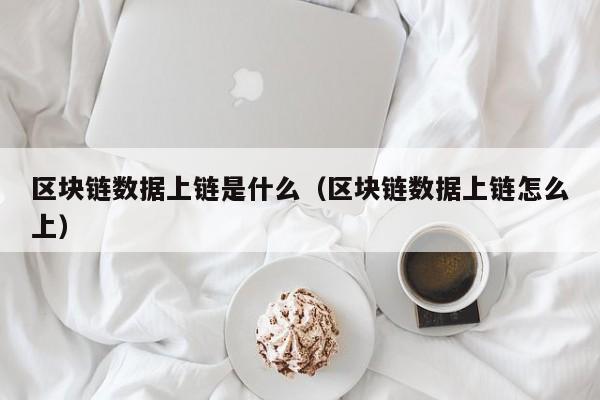 区块链数据上链是什么（区块链数据上链怎么上）