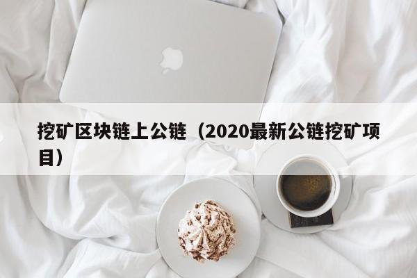 挖矿区块链上公链（2020最新公链挖矿项目）