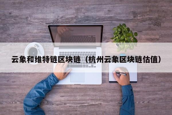 云象和维特链区块链（杭州云象区块链估值）