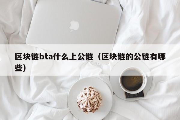 区块链bta什么上公链（区块链的公链有哪些）