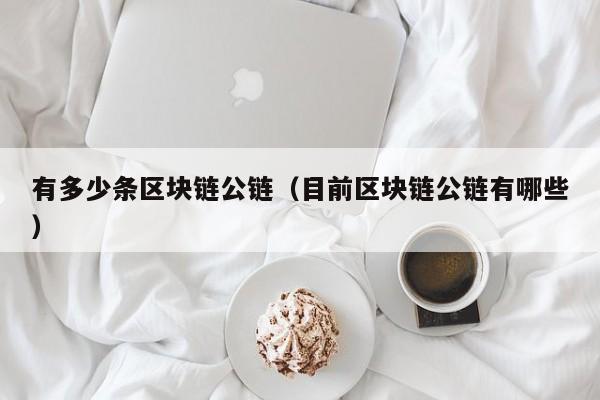 有多少条区块链公链（目前区块链公链有哪些）
