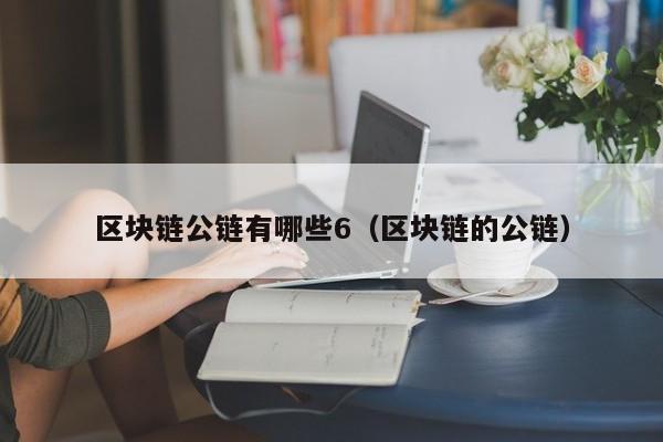 区块链公链有哪些6（区块链的公链）