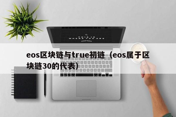 eos区块链与true初链（eos属于区块链30的代表）