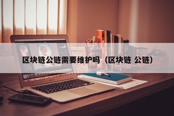 区块链公链需要维护吗（区块链 公链）