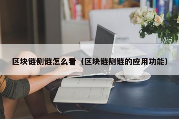 区块链侧链怎么看（区块链侧链的应用功能）