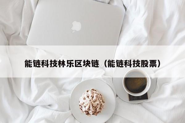 能链科技林乐区块链（能链科技股票）
