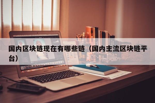 国内区块链现在有哪些链（国内主流区块链平台）