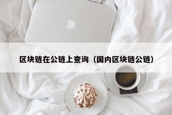 区块链在公链上查询（国内区块链公链）