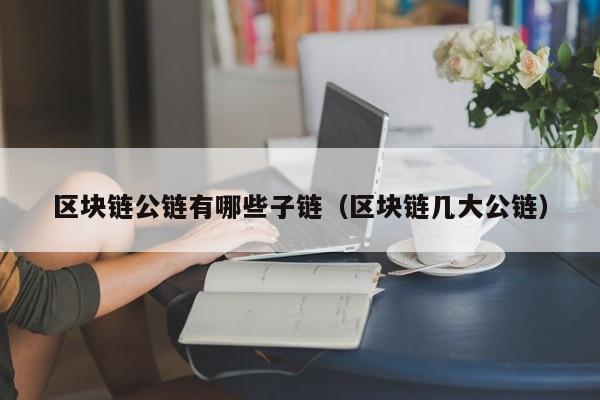区块链公链有哪些子链（区块链几大公链）