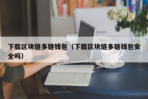 下载区块链多链钱包（下载区块链多链钱包安全吗）