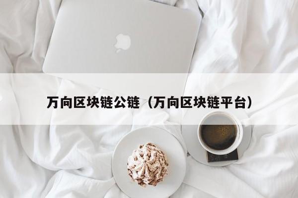 万向区块链公链（万向区块链平台）