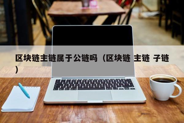 区块链主链属于公链吗（区块链 主链 子链）