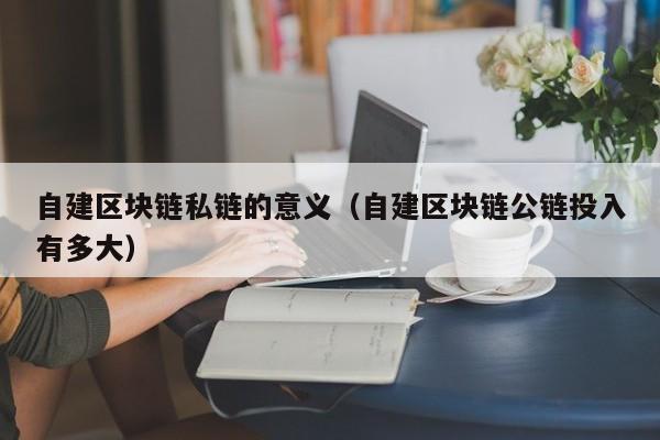 自建区块链私链的意义（自建区块链公链投入有多大）