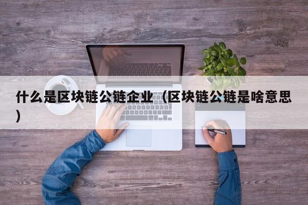 什么是区块链公链企业（区块链公链是啥意思）