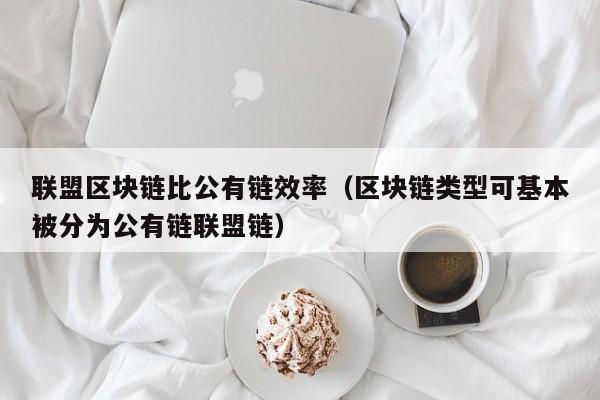 联盟区块链比公有链效率（区块链类型可基本被分为公有链联盟链）