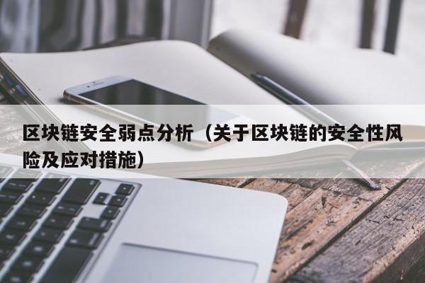 区块链安全弱点分析（关于区块链的安全性风险及应对措施）